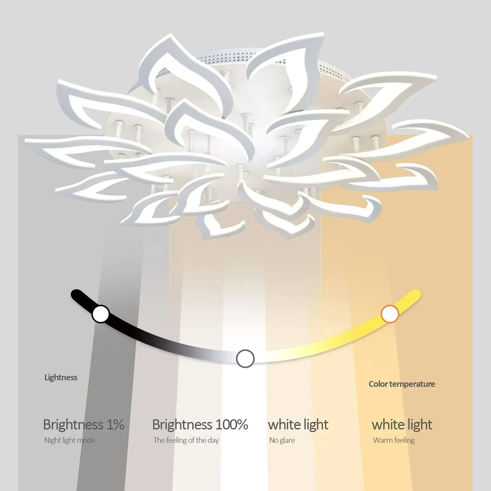 โคมระย้ากลีบดอก LED ของนักออกแ - Interior Design High End บทวิจารณ์และราคา