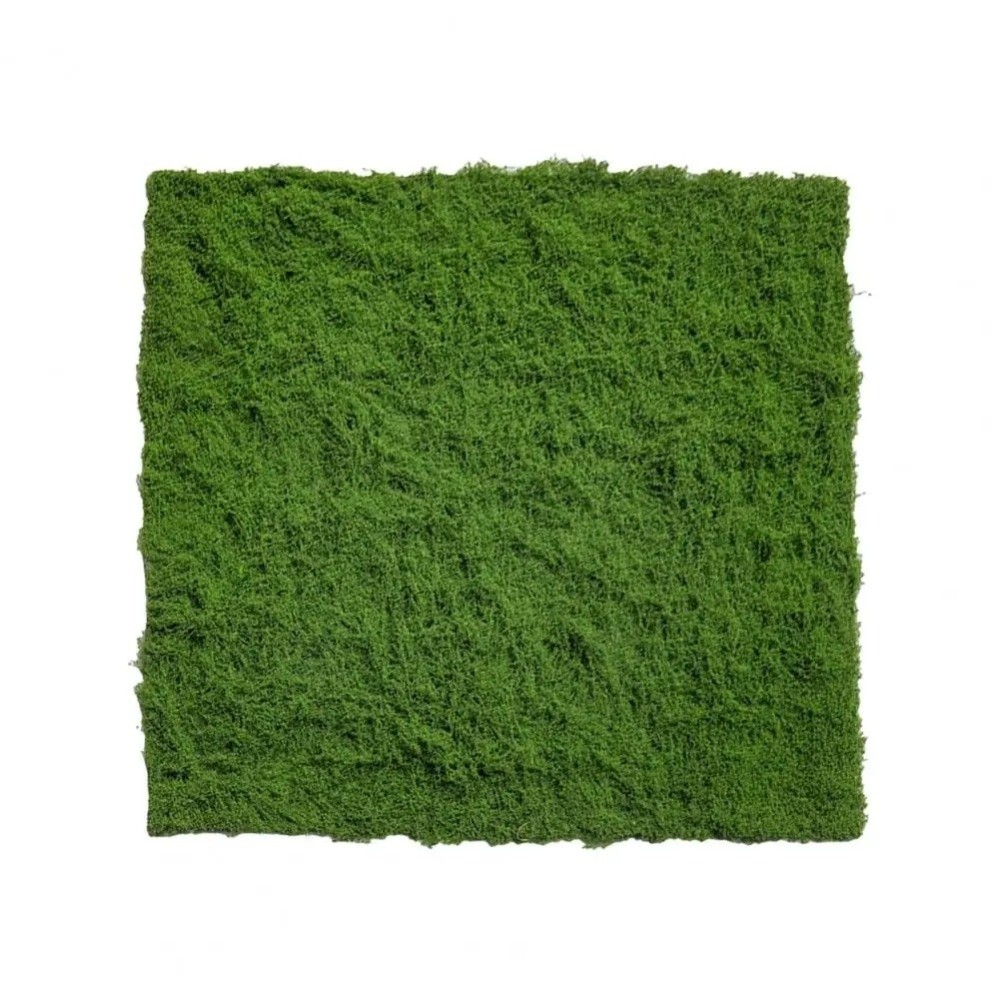 พรมหญ้าเทียม DIY ทนทาน ไม่ต้อง - Area Rug บทวิจารณ์และราคา
